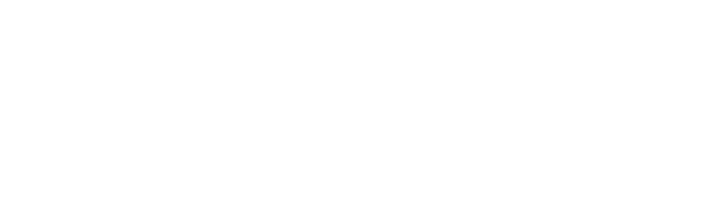 Magnolia Insurance Group - Logo 800 White